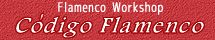 2013N6Ju@FlamencoWorkshop Codigo Flamenco